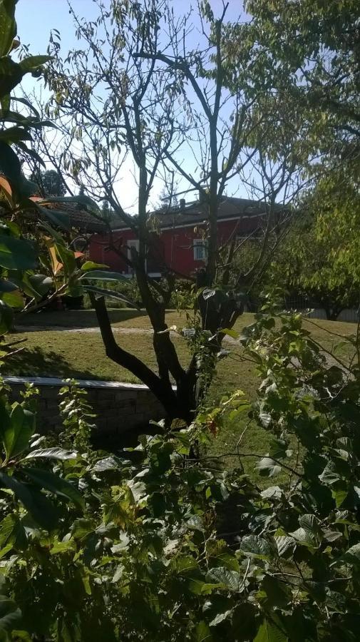 'L Sass Bed & Breakfast Borgomanero Bagian luar foto