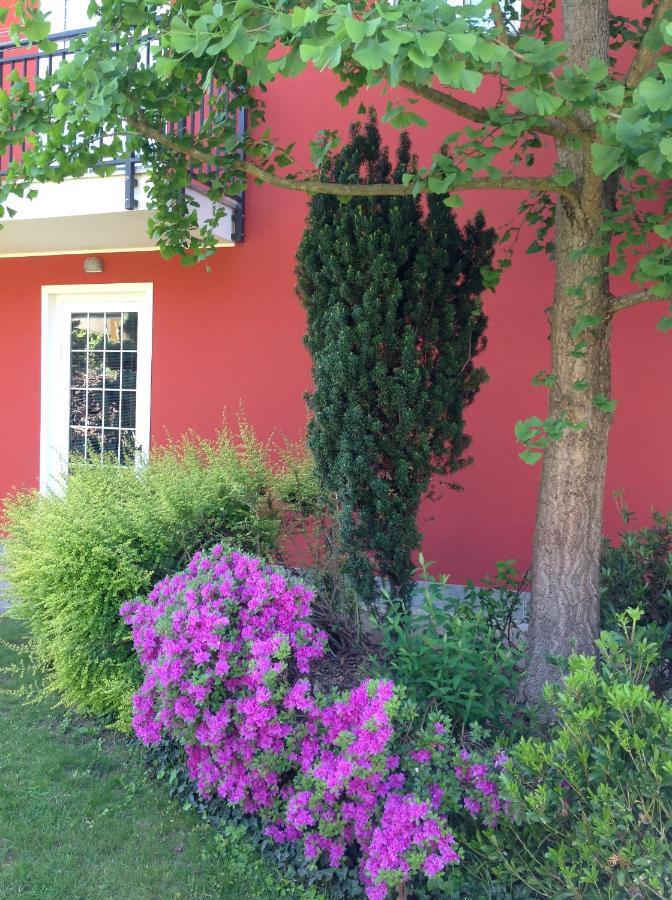 'L Sass Bed & Breakfast Borgomanero Bagian luar foto