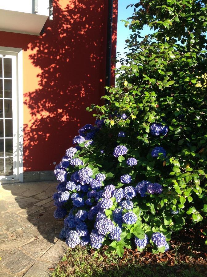 'L Sass Bed & Breakfast Borgomanero Bagian luar foto