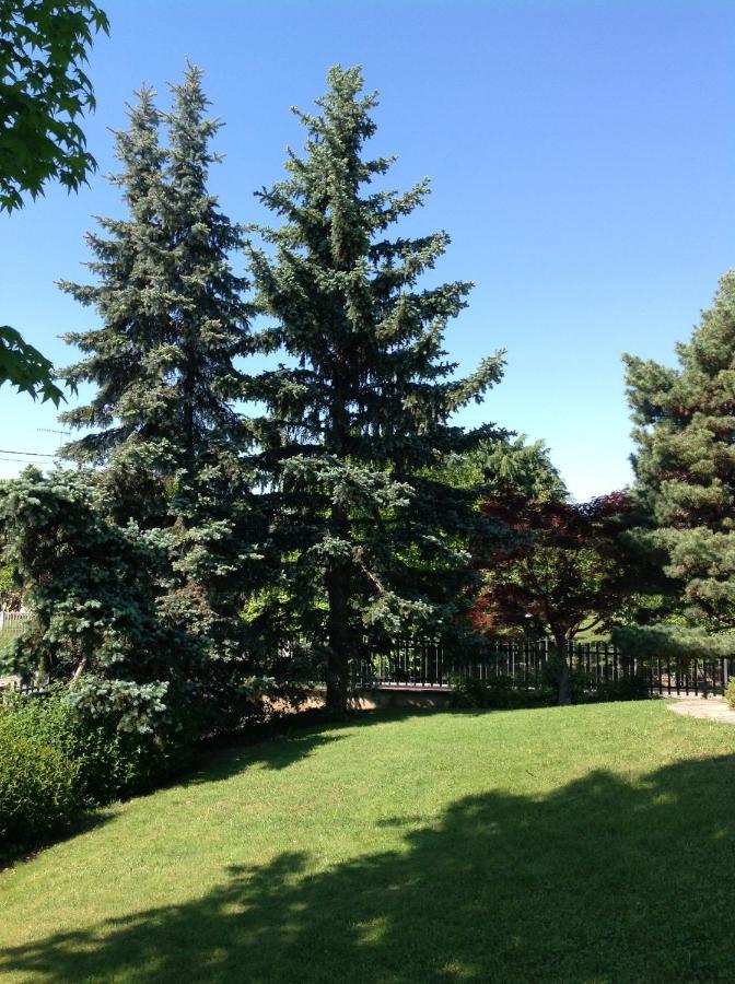 'L Sass Bed & Breakfast Borgomanero Bagian luar foto