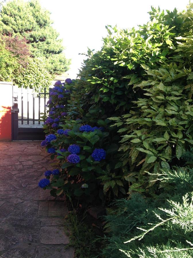 'L Sass Bed & Breakfast Borgomanero Bagian luar foto
